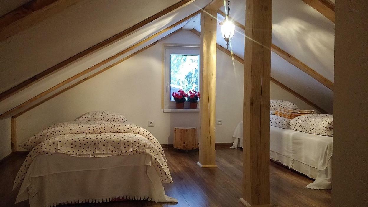Lodge Studienky